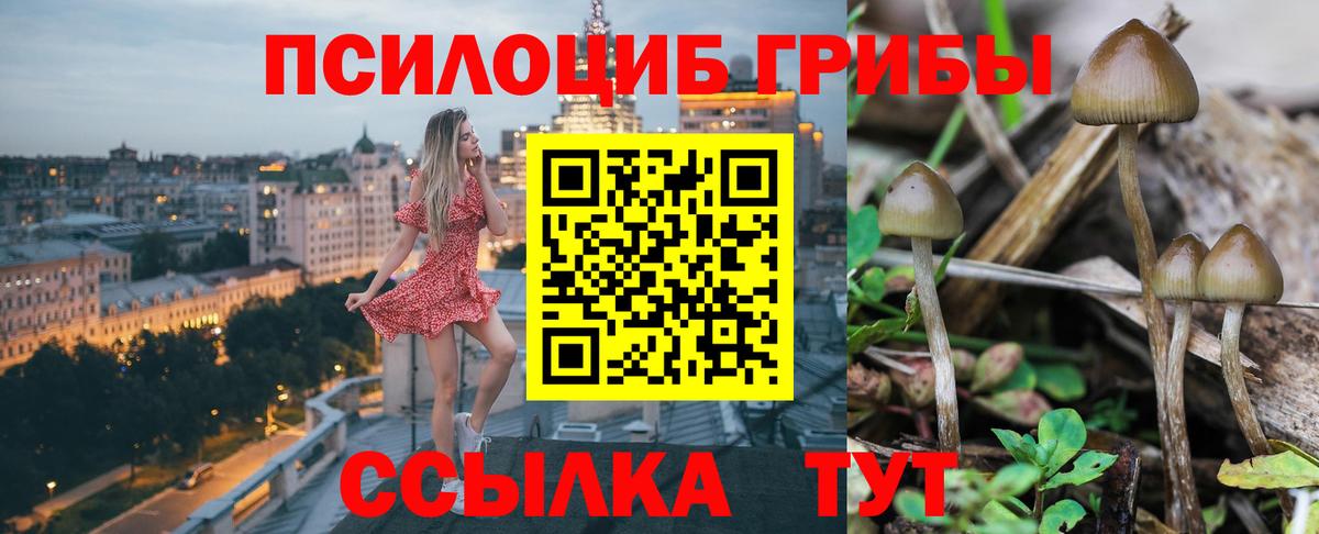 Псилоцибиновые грибы GOLDEN TEACHER  Вход с VPN  Россия  Псилоцибиновые грибы прущие грибы 