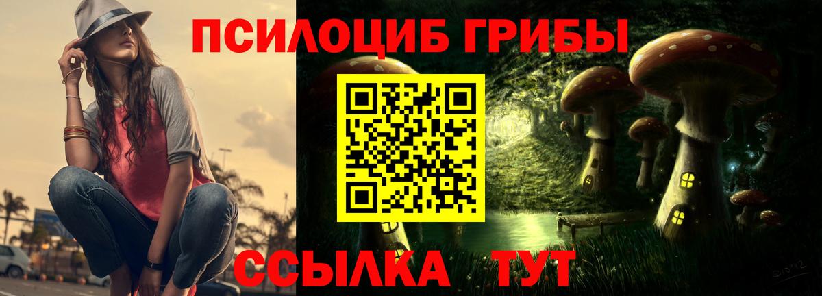 Псилоцибиновые грибы мухоморы Россия